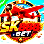 the image shows the sk888 icon
